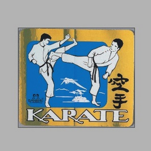 Karate PVC sticker