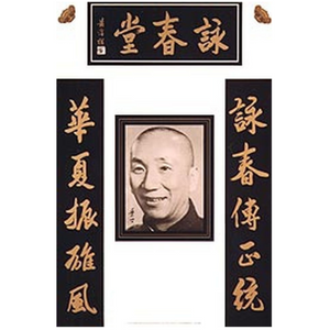 Official Ip Man Poster